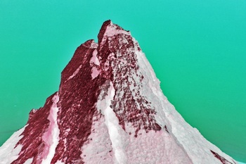 L 026C